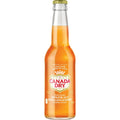 Canada Dry Ginger Ale Mango Peach