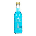 The Potions Cauldron - Blue Grape Sugar Free Drink