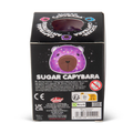 Scrunchems® Sugar Capybara Squishy Fidget Toy