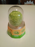 Hami Melon icecream viral